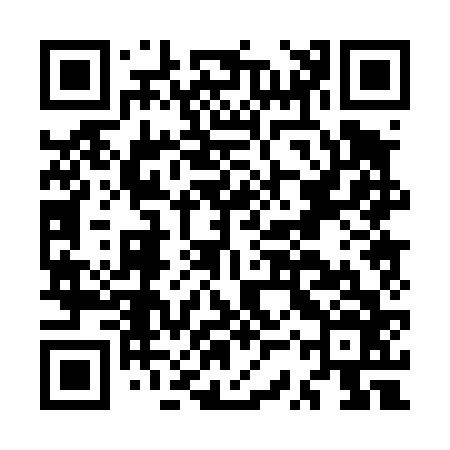QR code for MSP466