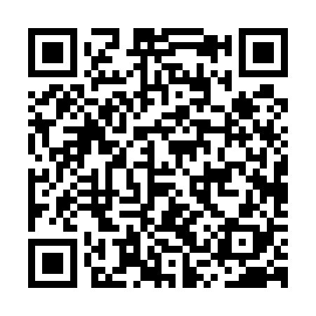QR code for MSP528