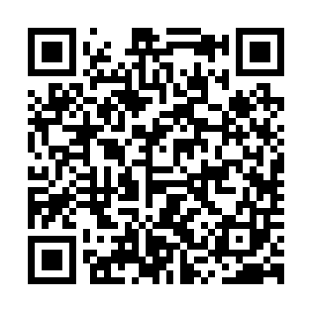 QR code for MSR203
