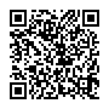 QR code for MSR919
