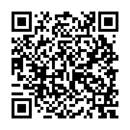 QR code for MSX381