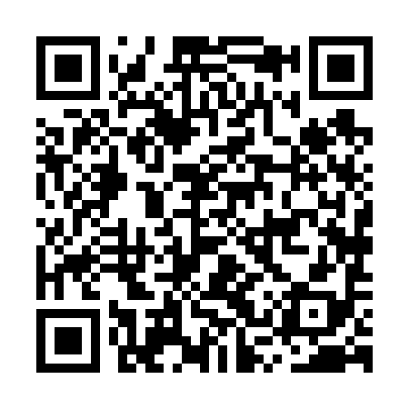 QR code for MSX698