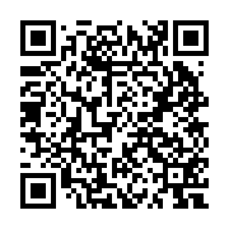 QR code for MVS251