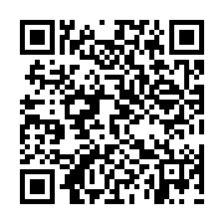 QR code for MXX386