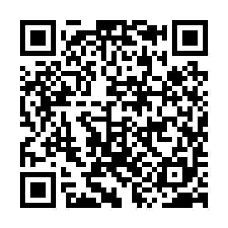 QR code for MYI295