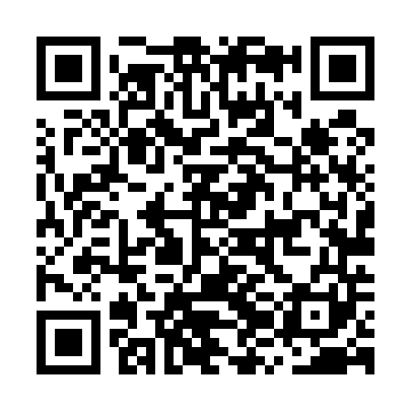 QR code for MZL541