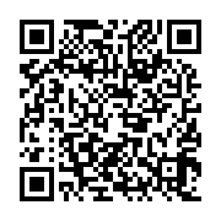 QR code for NAV919