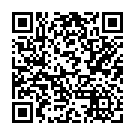 QR code for NCH317