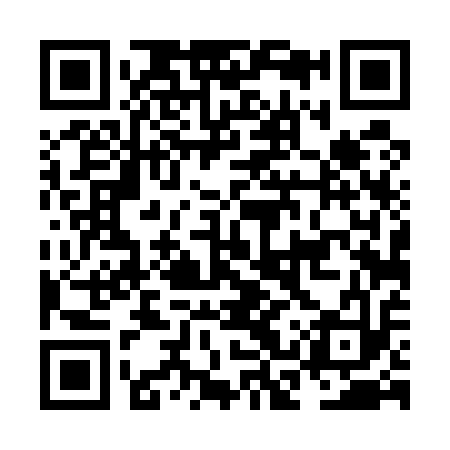 QR code for NCT513