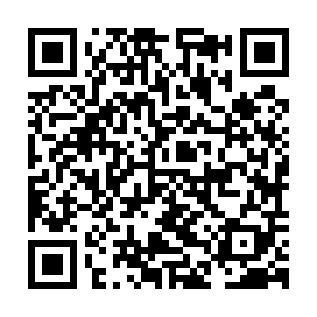 QR code for NDZ509