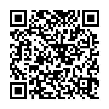 QR code for NEF333