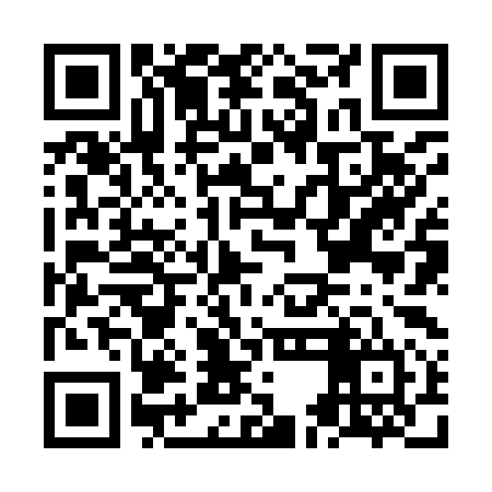 QR code for NEJ994