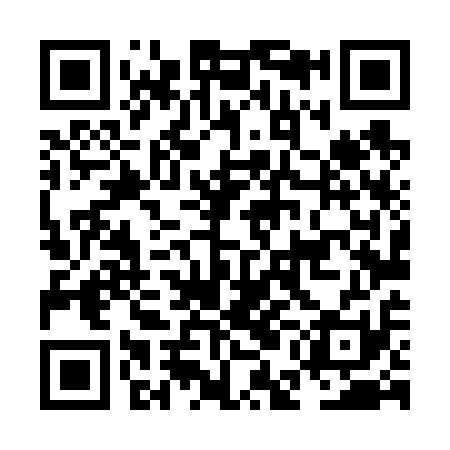 QR code for NEL611