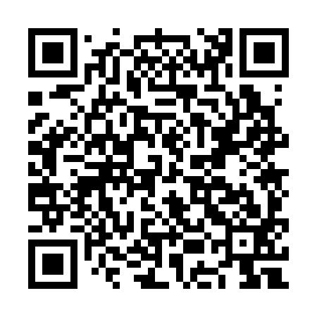 QR code for NEO393