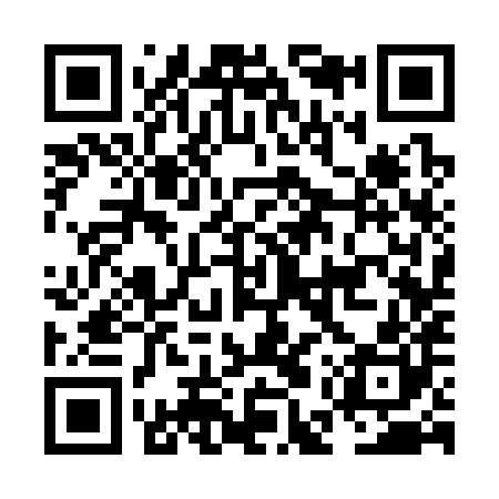 QR code for NES380