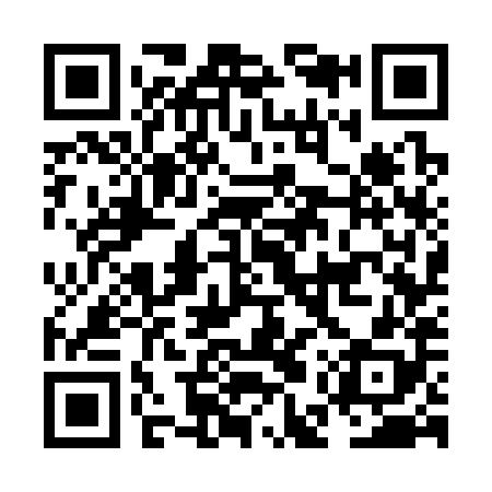 QR code for NEW388