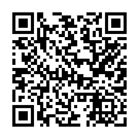 QR code for NFT293