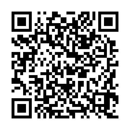 QR code for NIH382
