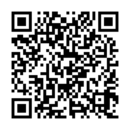 QR code for NIN919