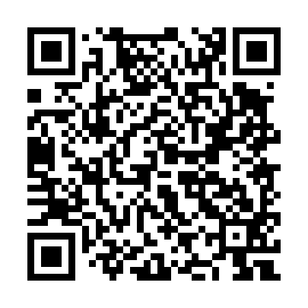 QR code for NIP493