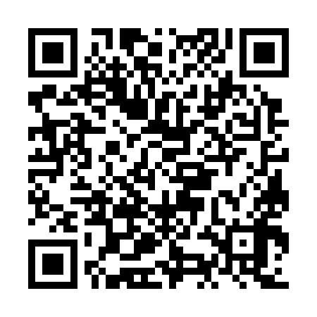 QR code for NKG398