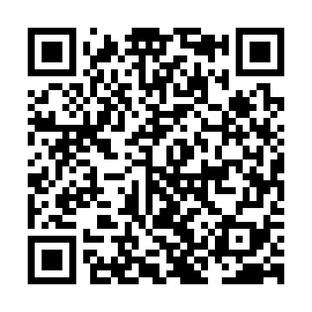 QR code for NKU379