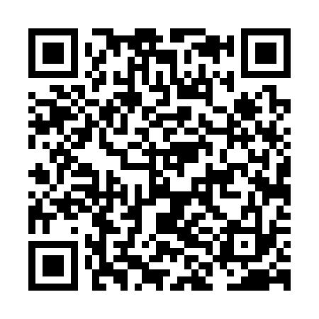 QR code for NLD333