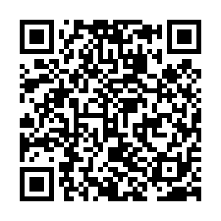 QR code for NLE411