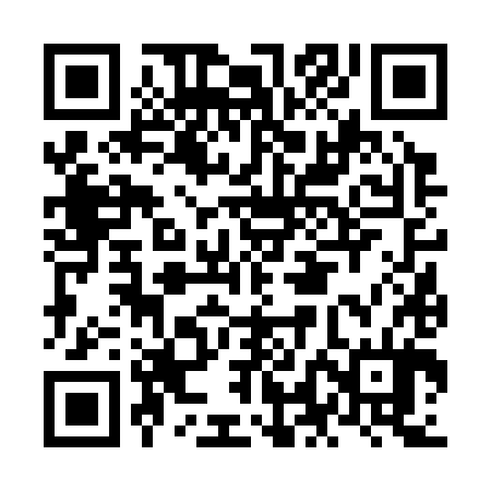 QR code for NLF384