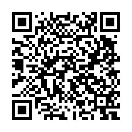 QR code for NMS451