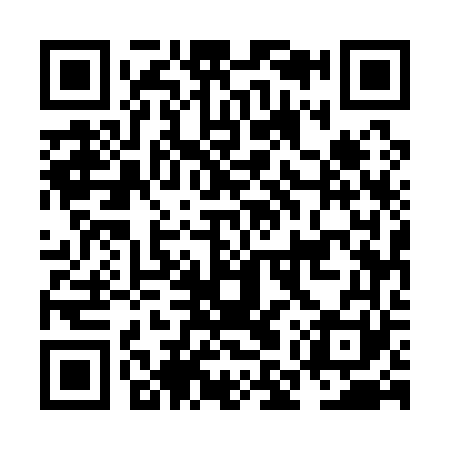 QR code for NMU161