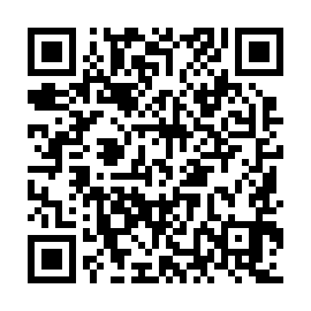 QR code for NNI291