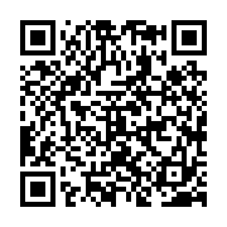 QR code for NNX233