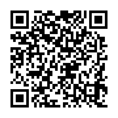 QR code for NNX399