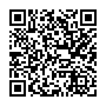 QR code for NNX993