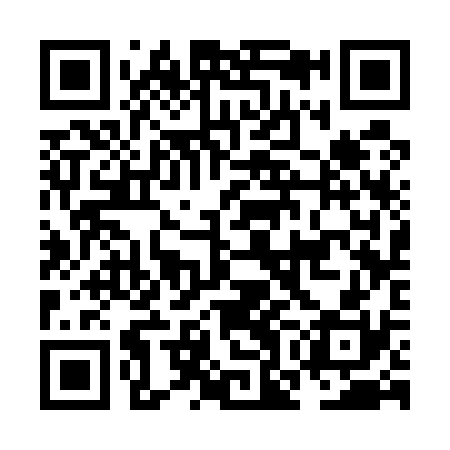 QR code for NOC530