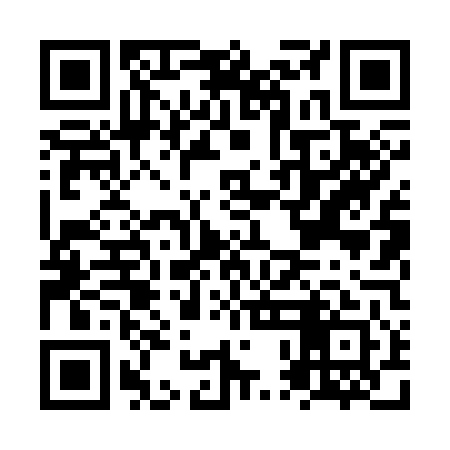 QR code for NPL341