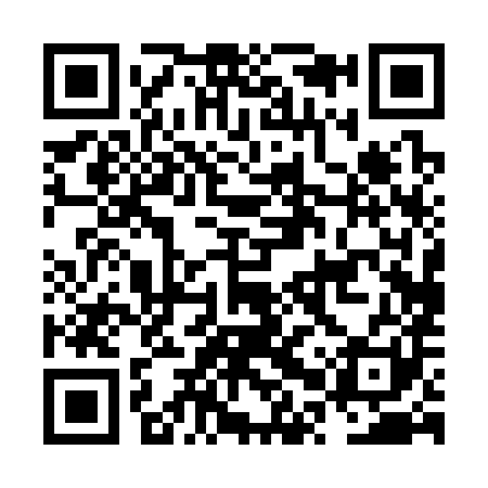 QR code for NPP381