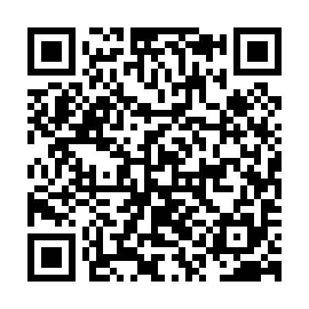 QR code for NQE095