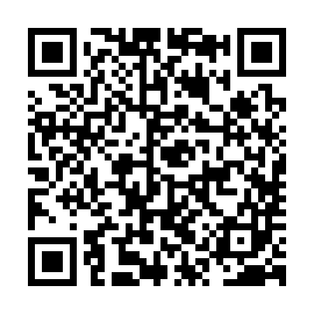 QR code for NQR383