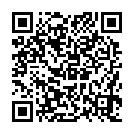 QR code for NRP370