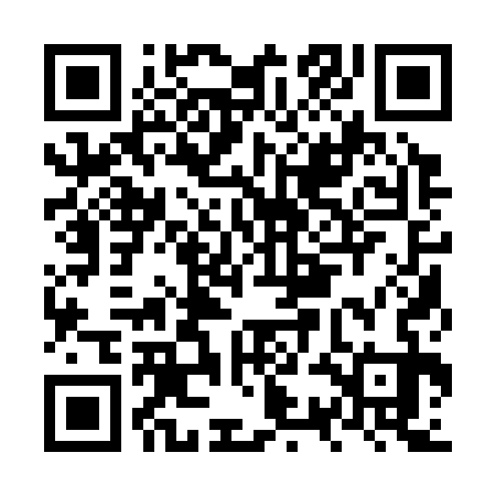 QR code for NSA333