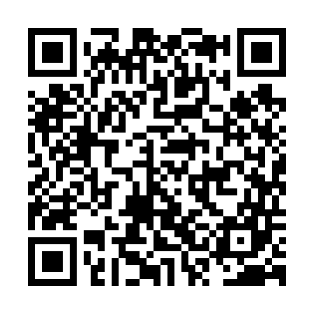 QR code for NSI647