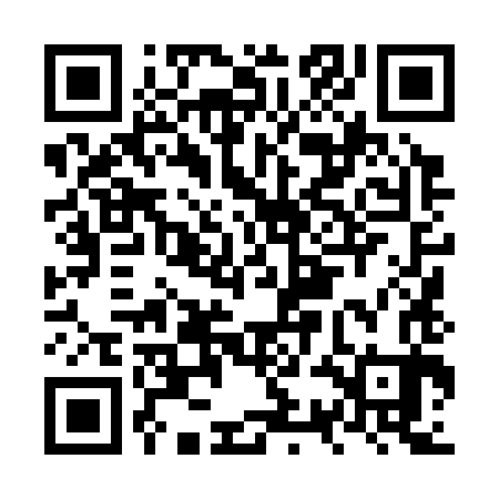 QR code for NSL383