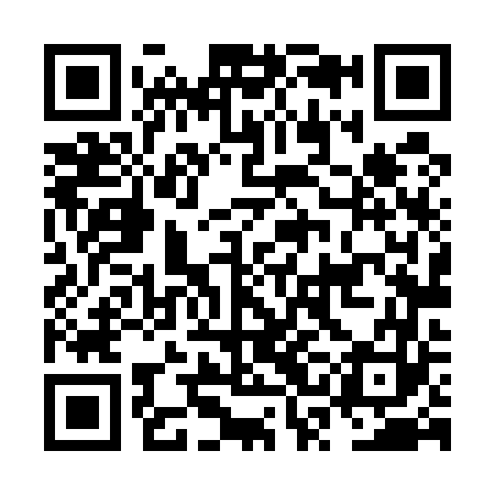 QR code for NSL563