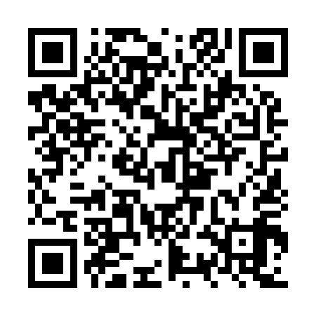 QR code for NSN919
