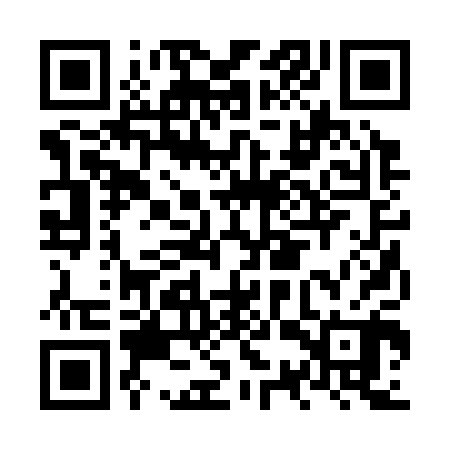 QR code for NSR300