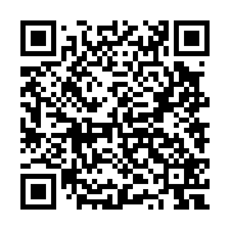 QR code for NTN029