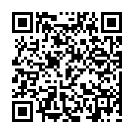 QR code for NVV383