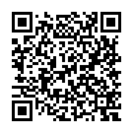 QR code for NYE919
